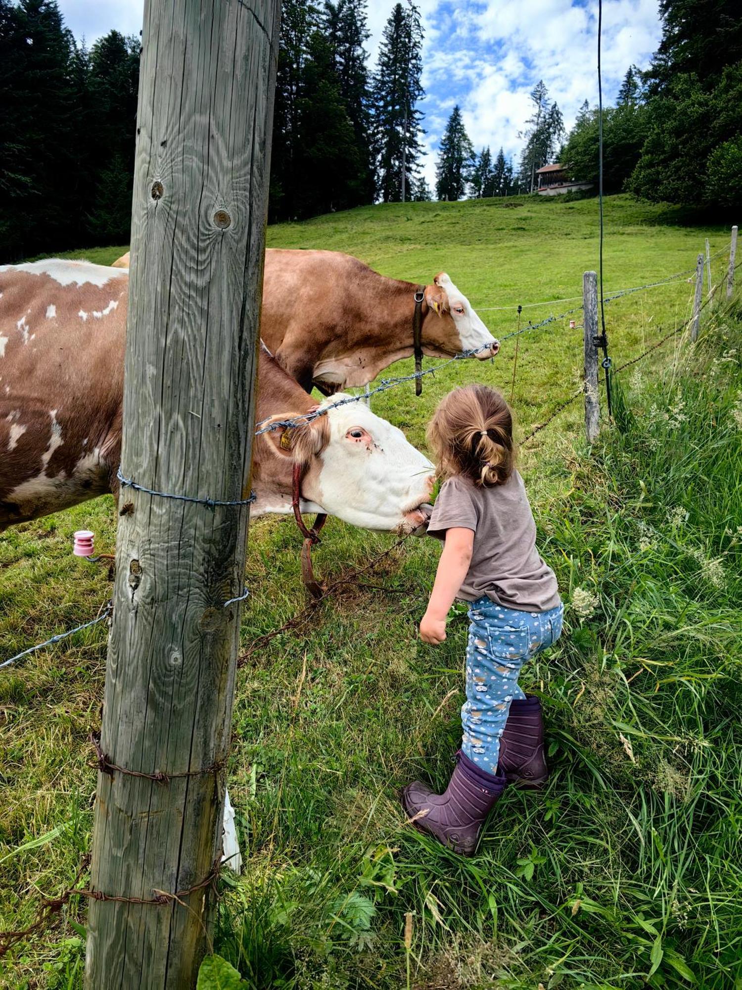 Voegelhof Lägenhet Doren Exteriör bild