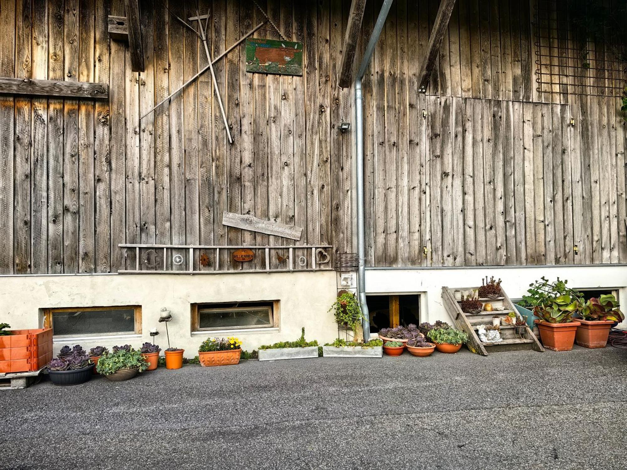 Voegelhof Lägenhet Doren Exteriör bild