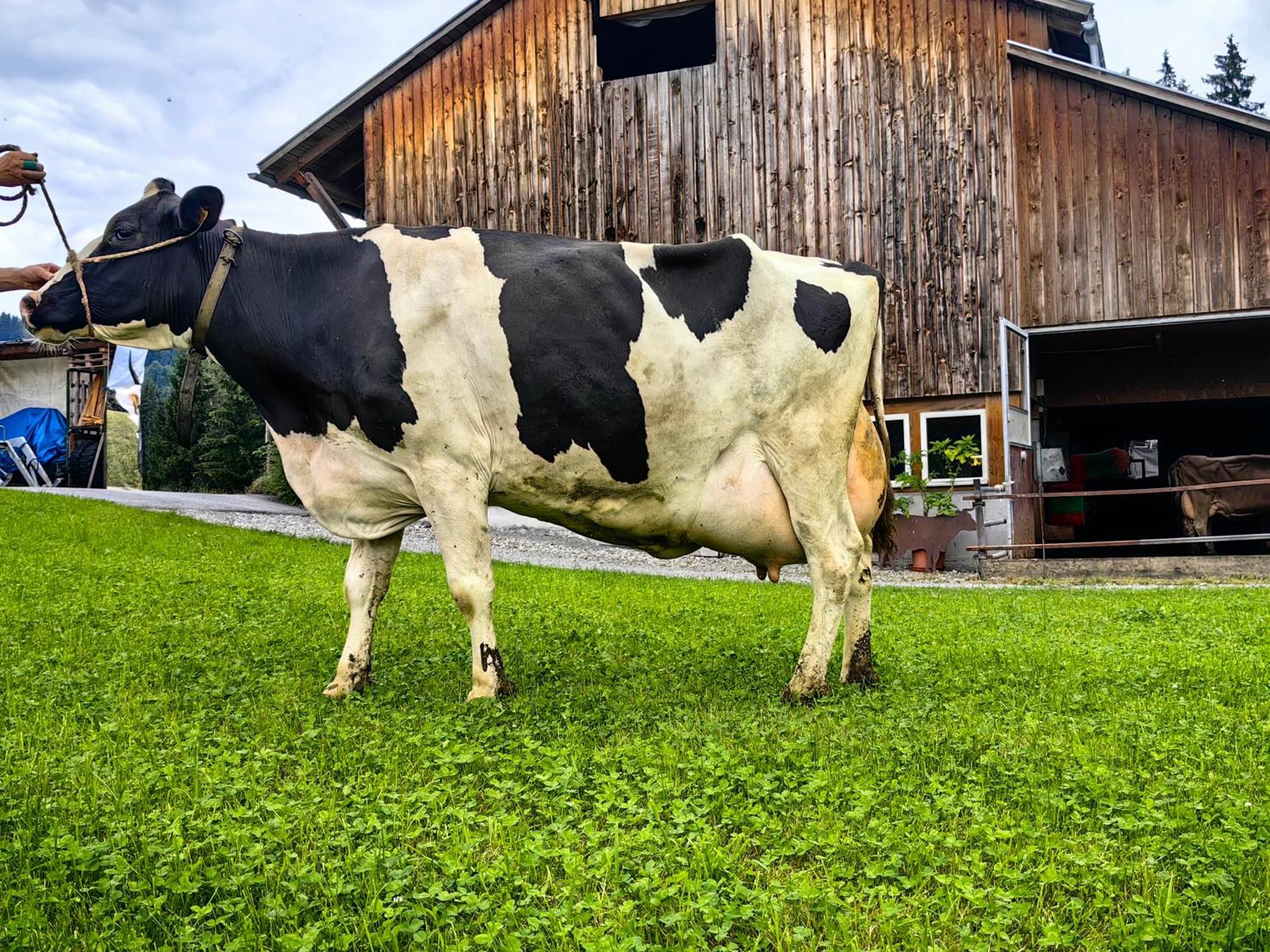 Voegelhof Lägenhet Doren Exteriör bild