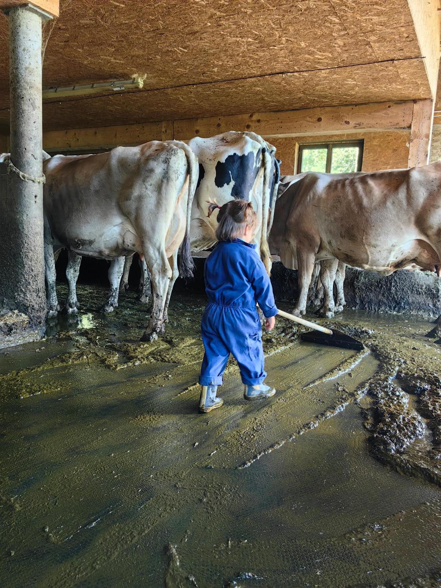 Voegelhof Lägenhet Doren Exteriör bild