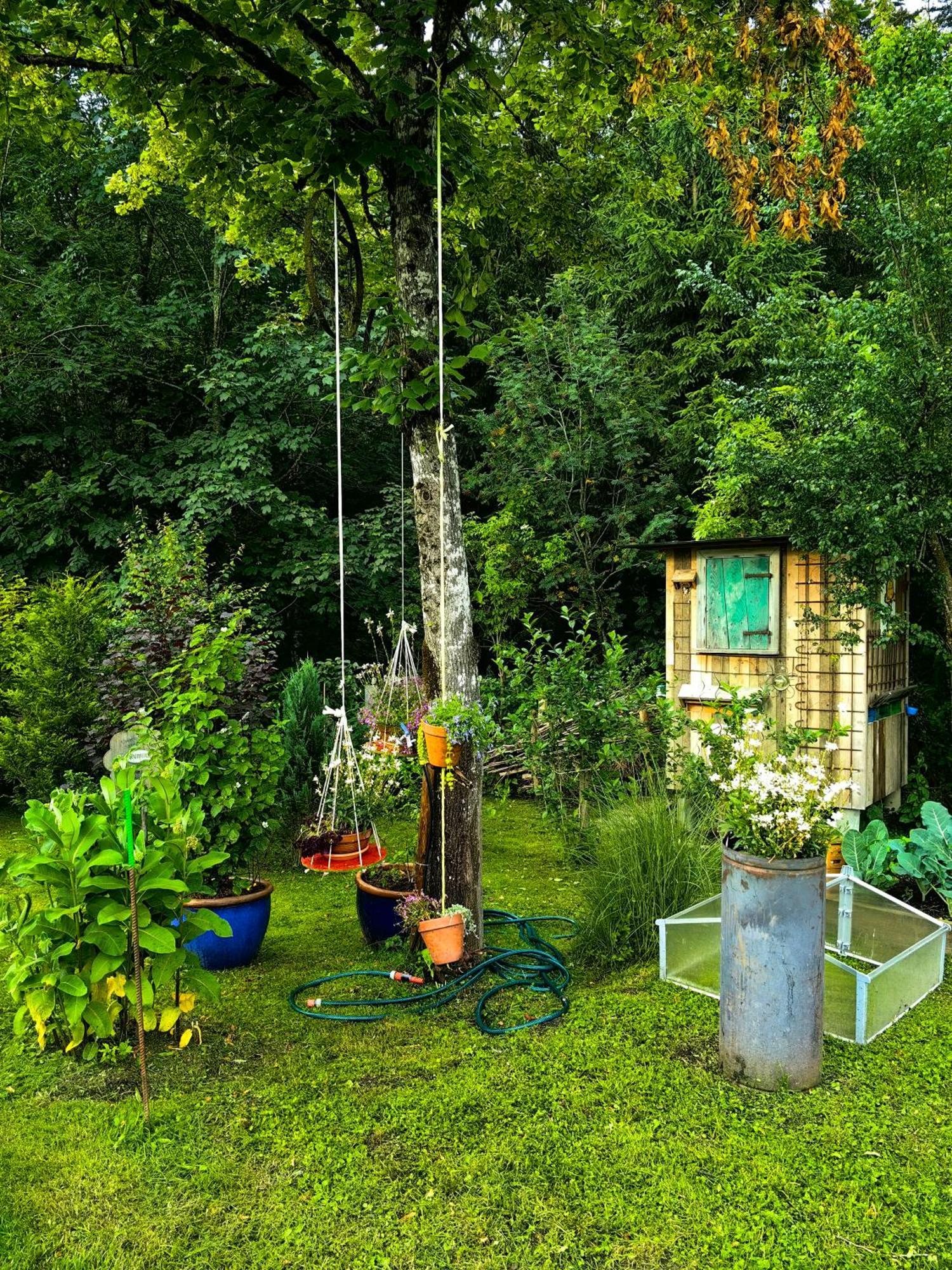 Voegelhof Lägenhet Doren Exteriör bild