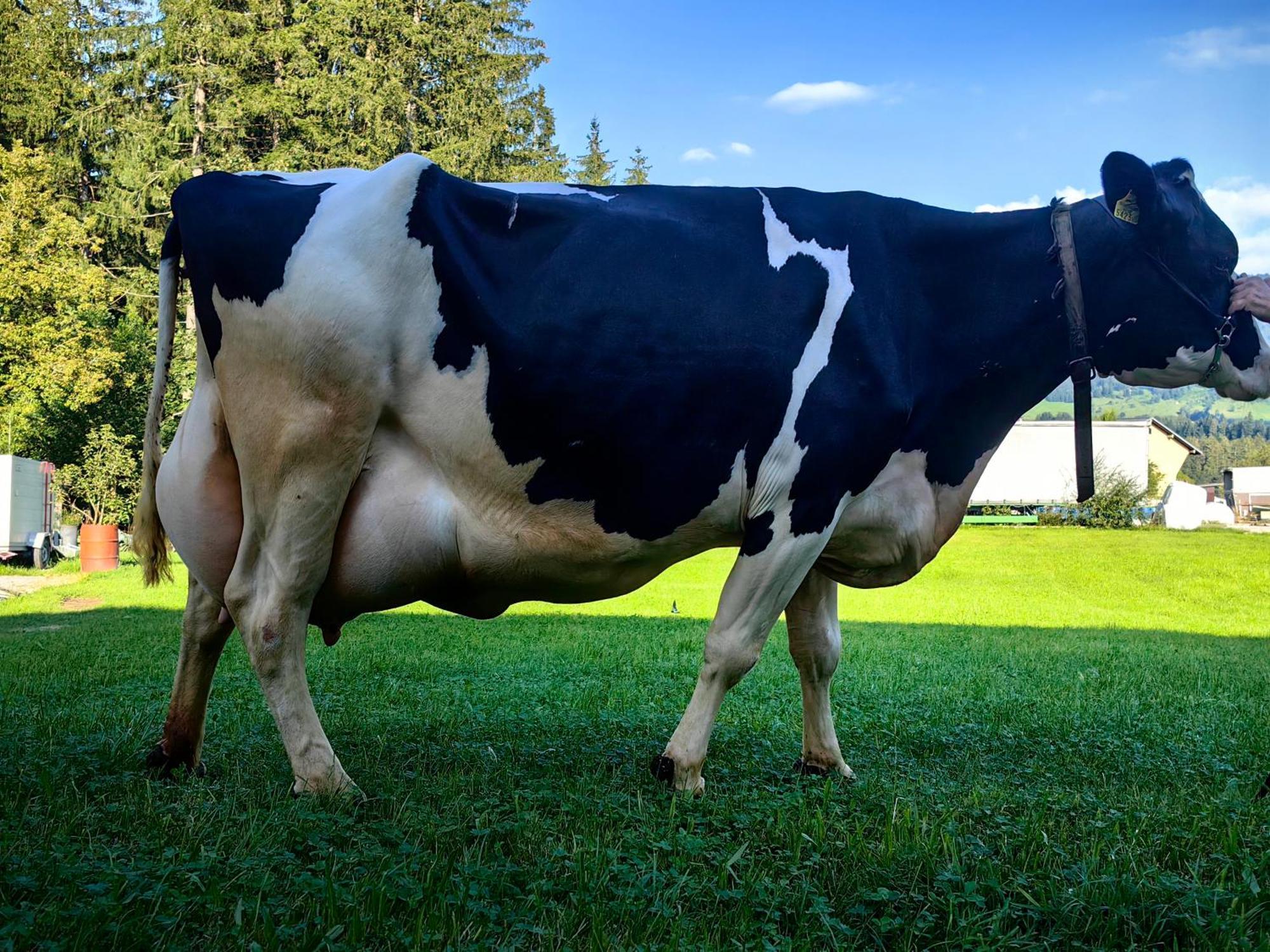Voegelhof Lägenhet Doren Exteriör bild