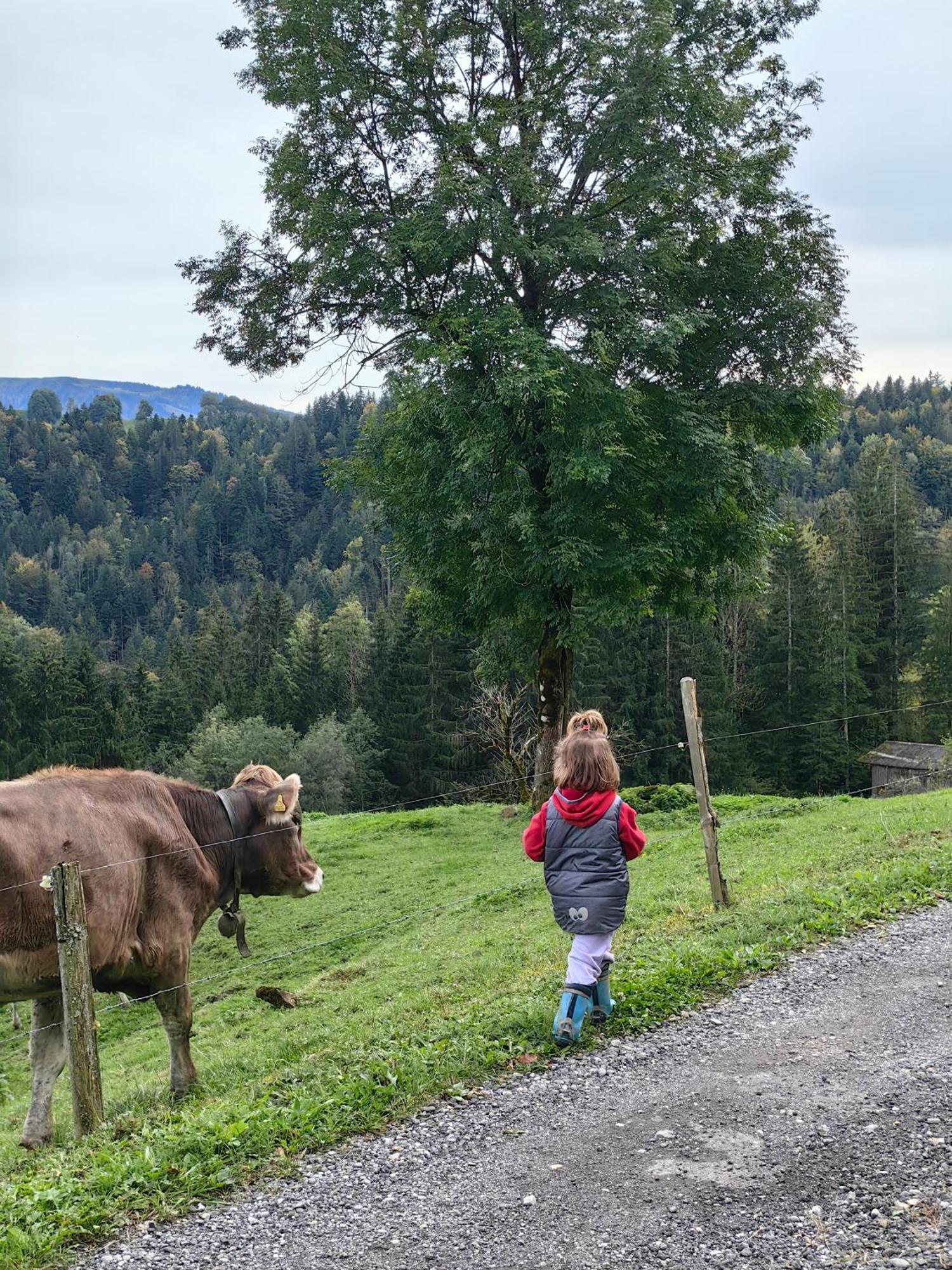 Voegelhof Lägenhet Doren Exteriör bild