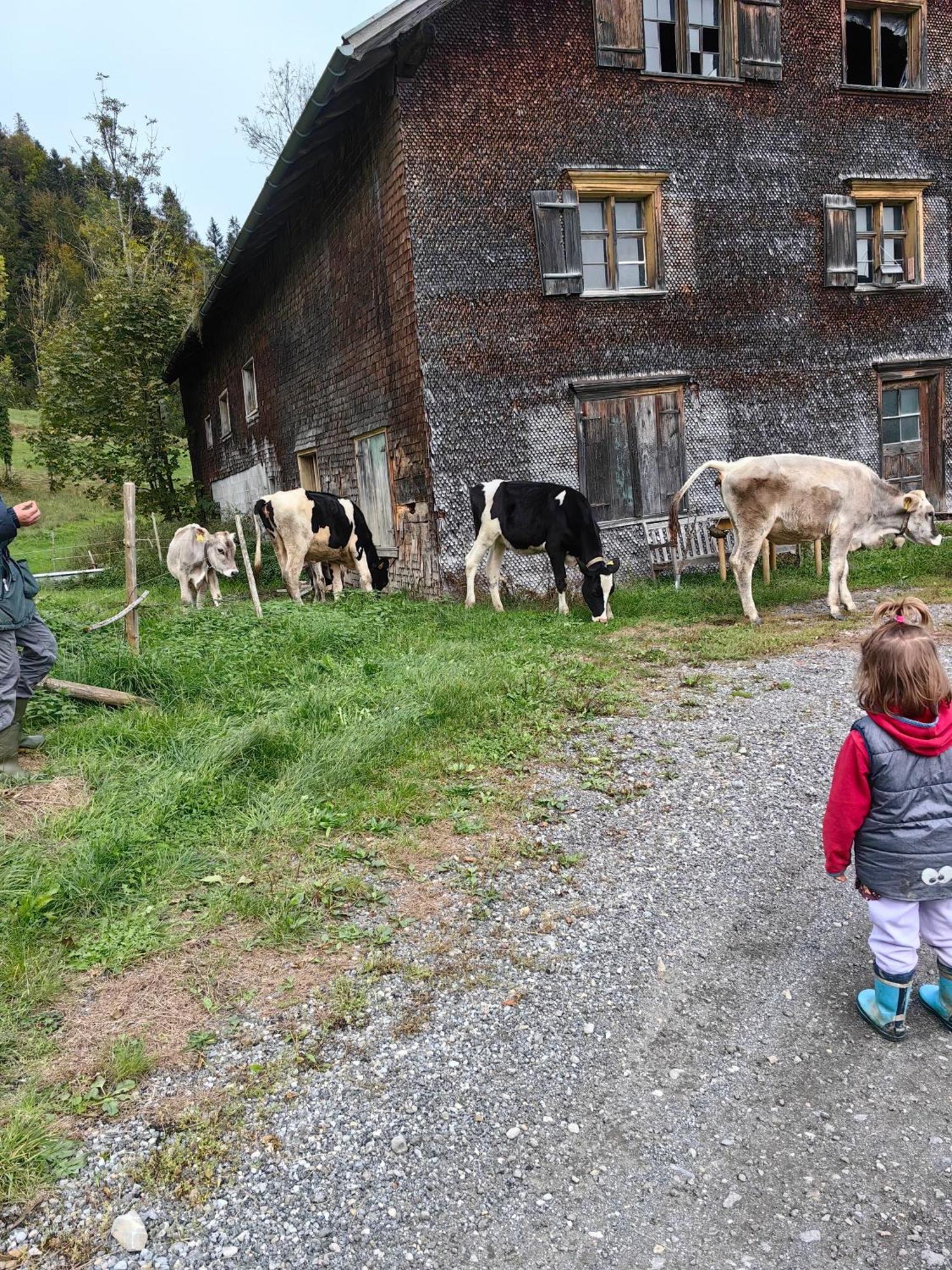 Voegelhof Lägenhet Doren Exteriör bild