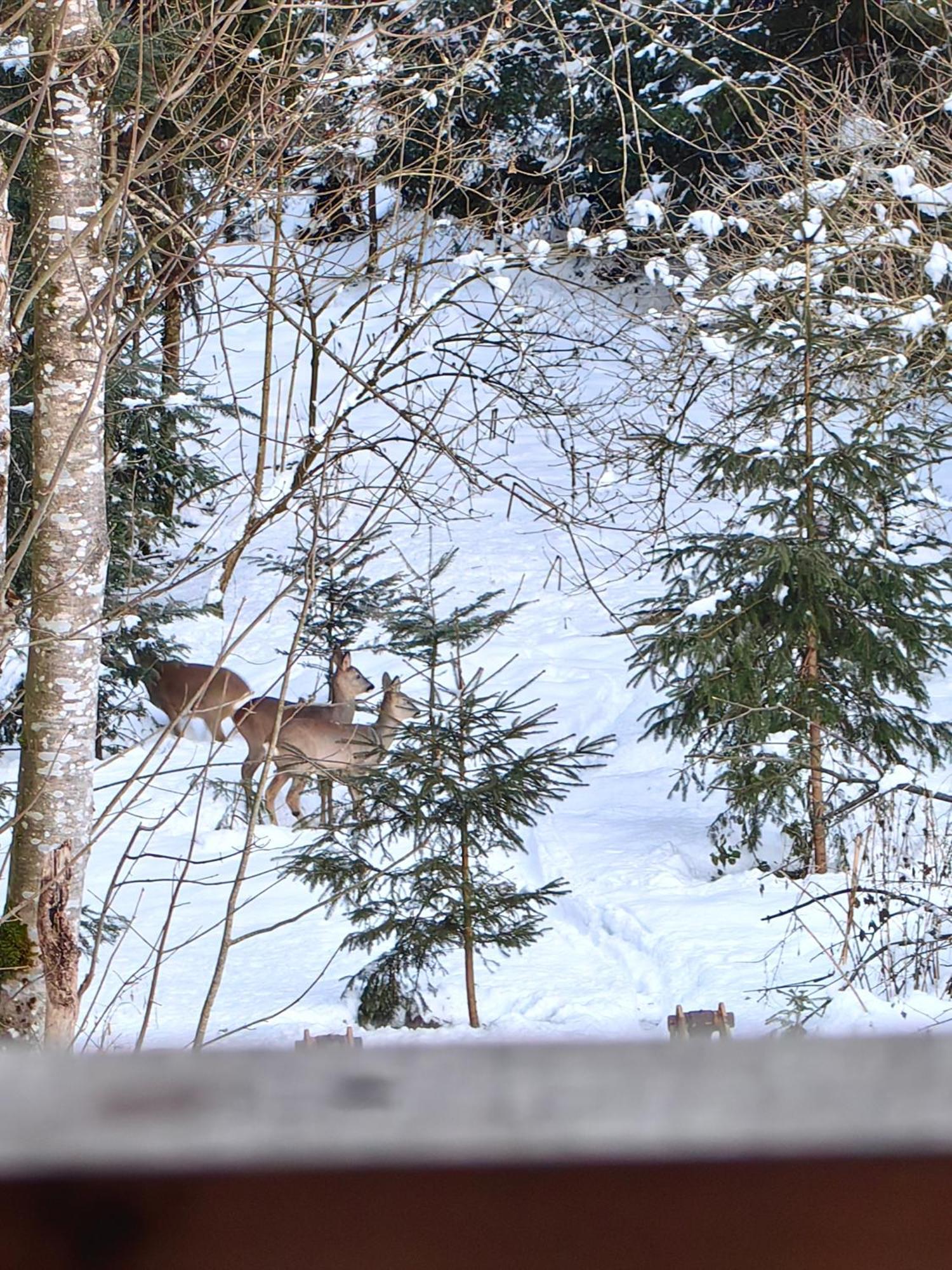 Voegelhof Lägenhet Doren Exteriör bild